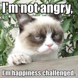 grumpy cat - credit google images